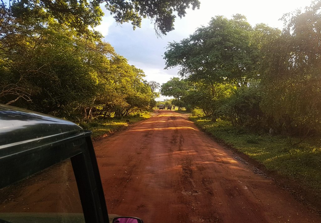 Yala National Park