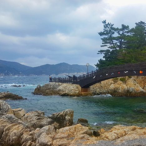 10 Amazing Things to Do in Seoul: An Expat’s Guide (2026)