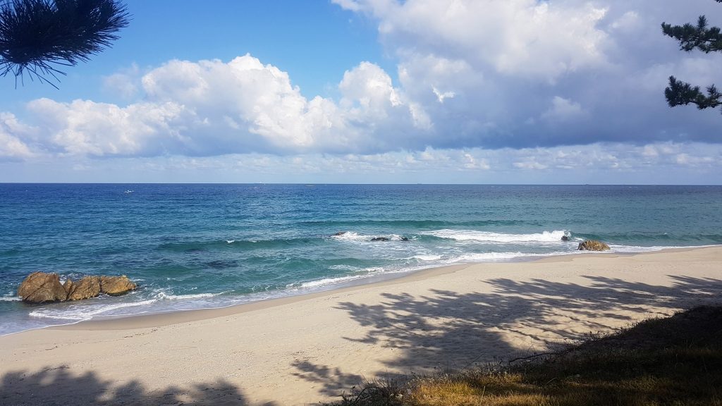 Jangho Beach