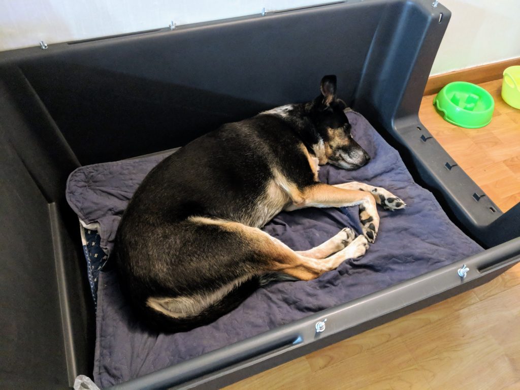 Dog Airplane Crate 