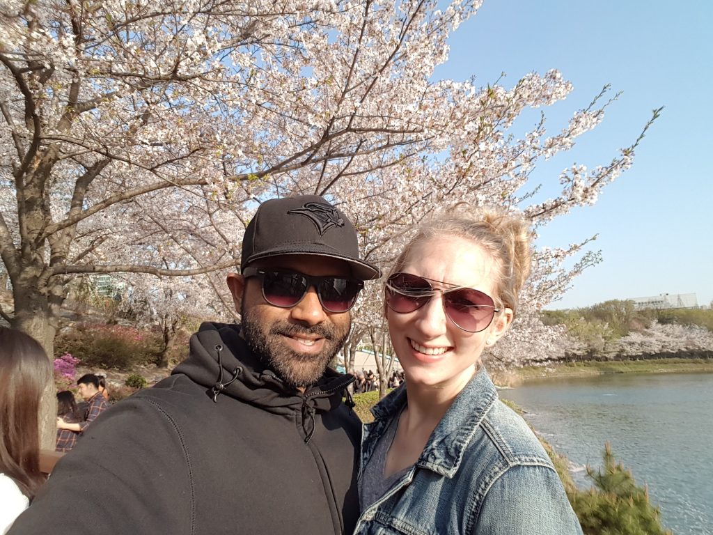 Cherry Blossoms