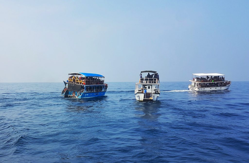 Whale Watching in Mirissa
