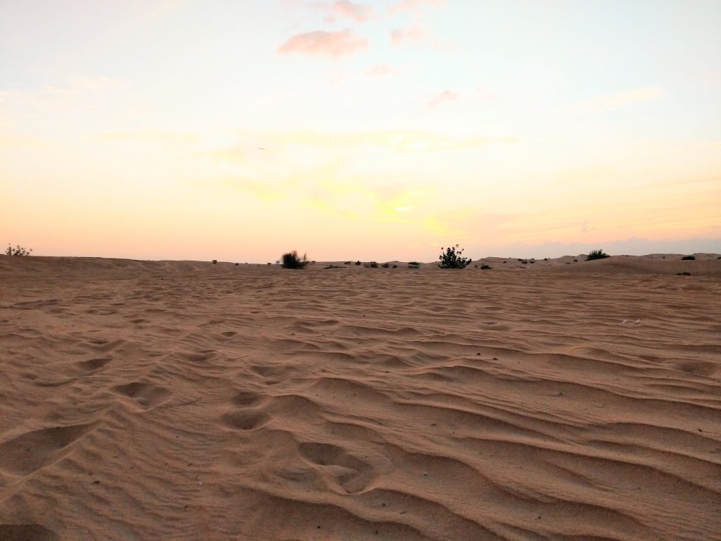 Desert Safari, Dubai