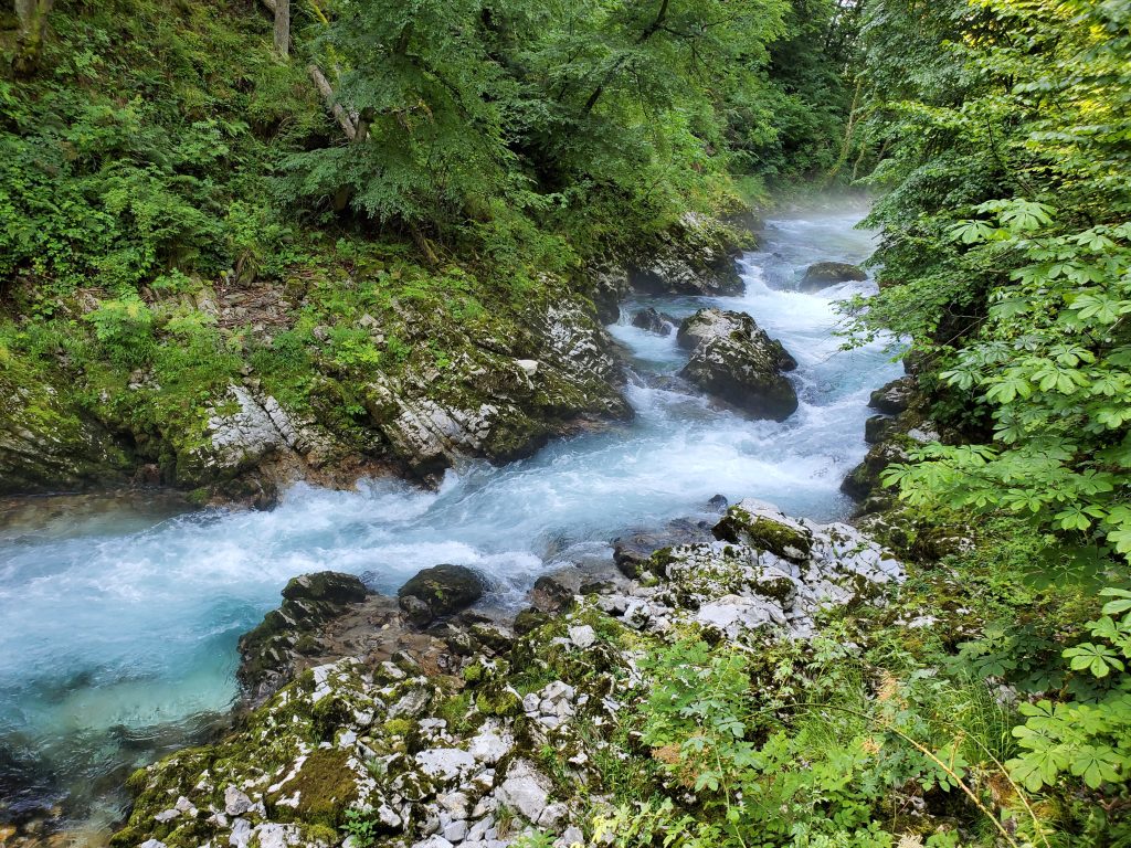 Vintgar Gorge