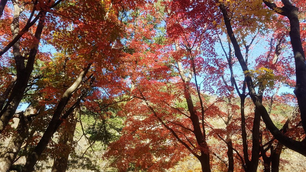 Seoraksan National Park