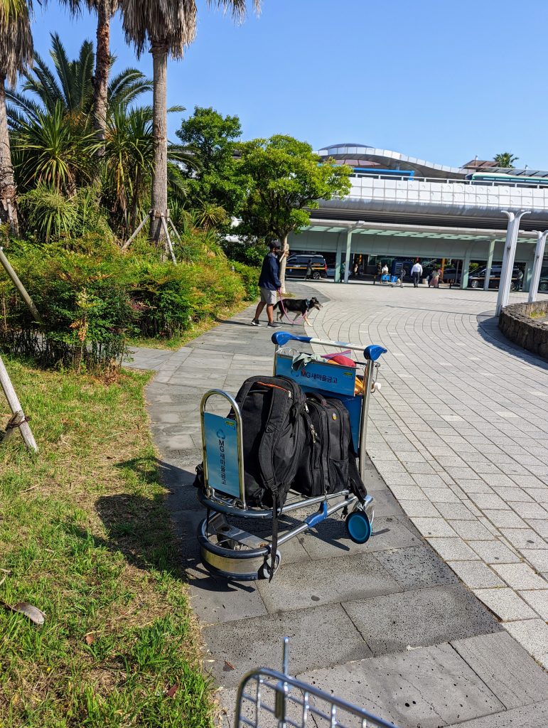 Jeju Airport Pet Relief Area