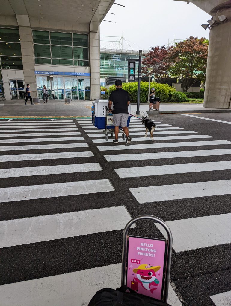 Incheon Airport Pet Relief Area